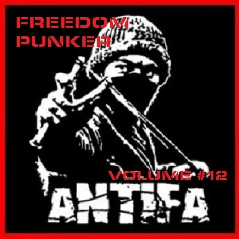 Freedom Punker 12 cover